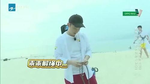 团山最新爆料消息新闻,揭秘神秘事件背后的惊人真相  第2张