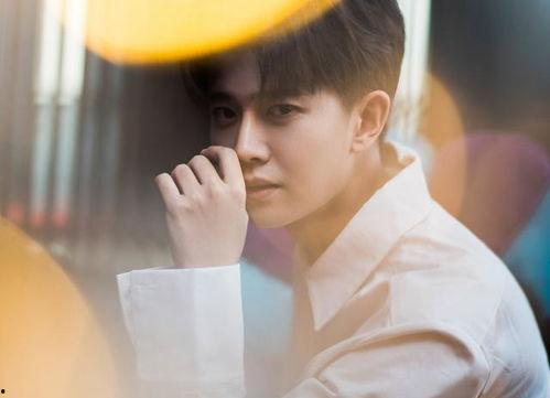 邢菲最新爆料新闻视频播放,揭秘幕后故事，视频播放引发热议